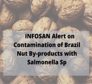 Read more about the article INFOSAN Alert on Contamination of Brazil Nut By-products with Salmonella Sp