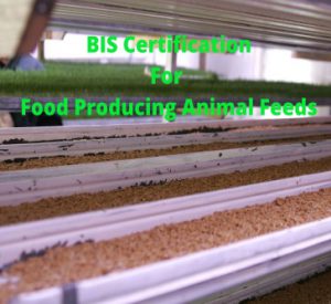 Read more about the article BIS Certification For Animal Feeds